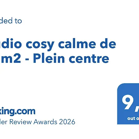 Cosy Calme De 14 M2 - Plein Centre Tuluza
